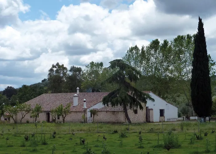 Lagar De Viña Vieja
